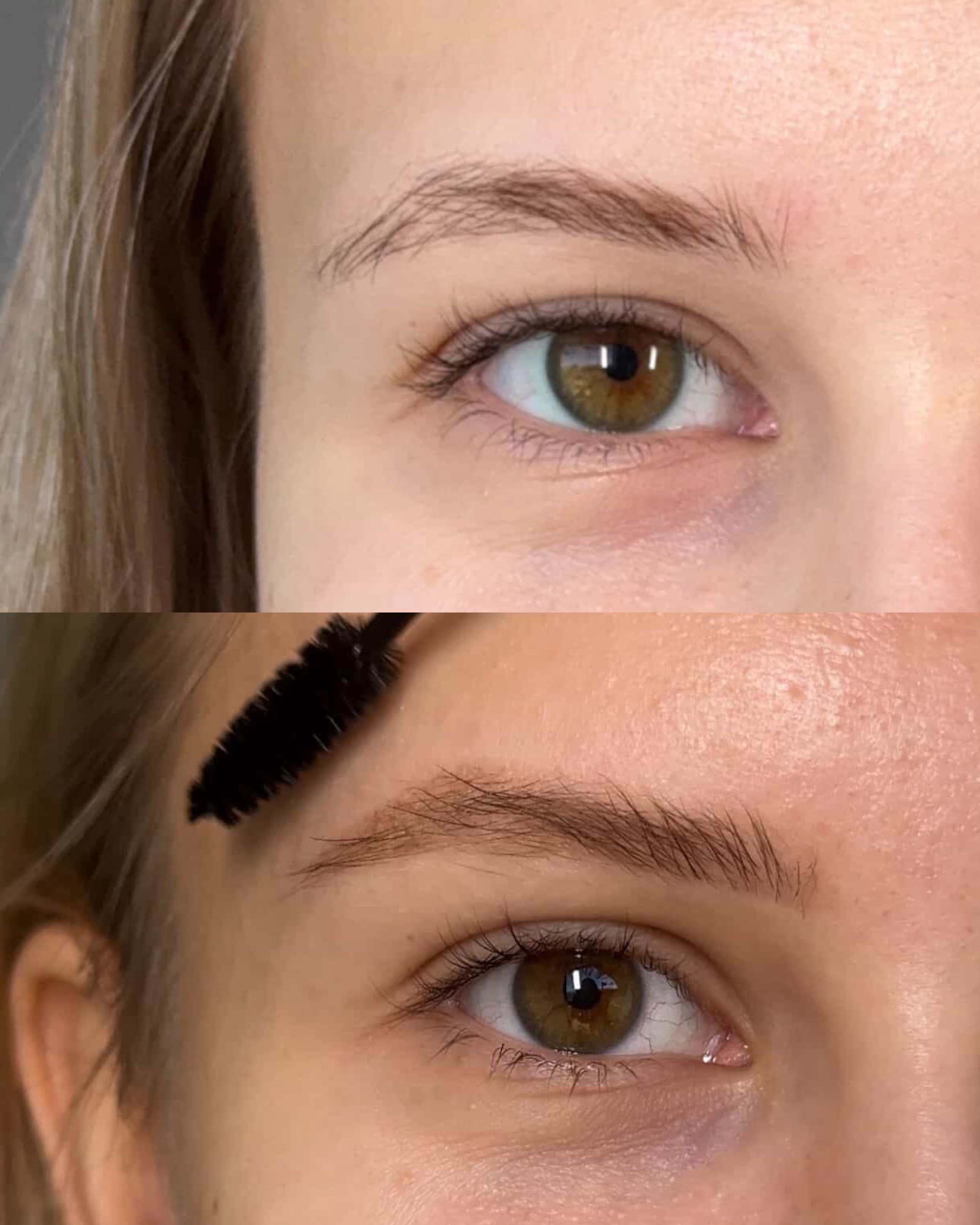 Powder / Ombre Brows